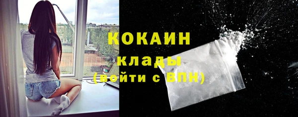 прущие крисы Беломорск