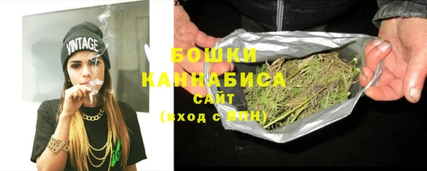 хмурый Белокуриха