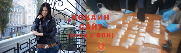 хмурый Белокуриха