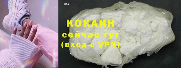 хмурый Белокуриха