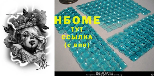 хмурый Белокуриха