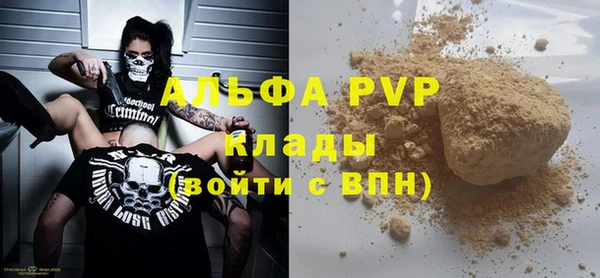 хмурый Белокуриха