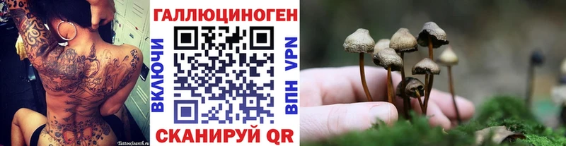 kraken ССЫЛКА  Бийск  Галлюциногенные грибы MAGIC MUSHROOMS 
